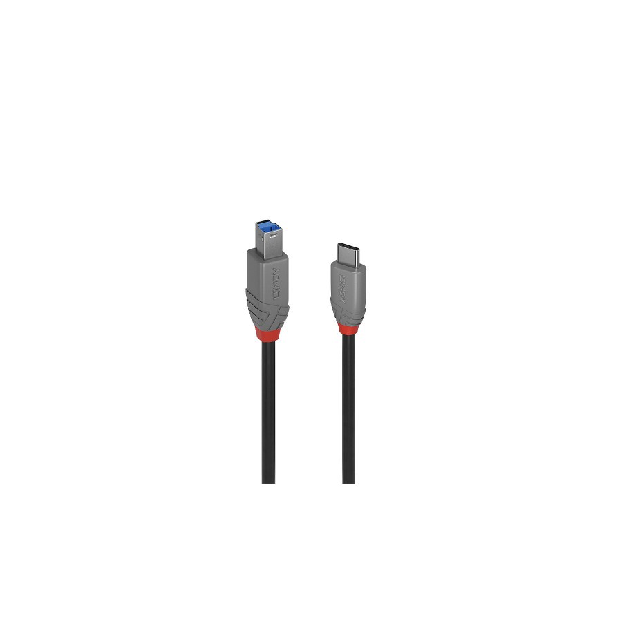 36491-Lindy 36666 cable USB USB 3.2 Gen 1 (3.1 Gen 1) 1 m USB C USB B Negro