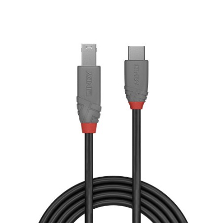 36492-Lindy 36666 cable USB USB 3.2 Gen 1 (3.1 Gen 1) 1 m USB C USB B Negro