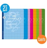 3900-LIBRETA CUARTO 50 HOJAS RAYADO 2,5 MM-COLORES SURTIDOS LAMELA 06C002
