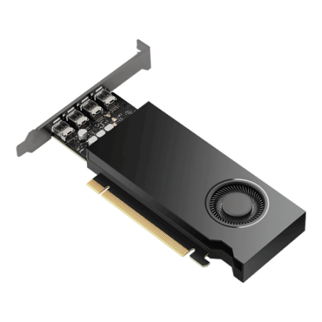 39064-PNY VCNRTX2000EADA-PL tarjeta grafica NVIDIA RTX 2000E Ada 16 GB GDDR6