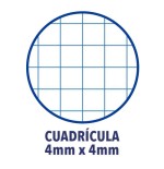 4425-Oxford 100430151 cuaderno y block 80 hojas Colores surtidos