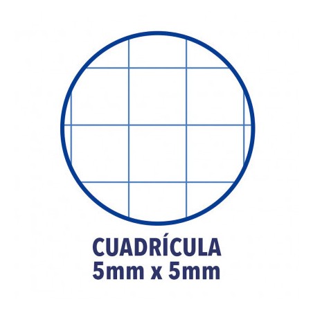 4441-Oxford Europeanbook 1 cuaderno y block A4+ 80 hojas Color menta