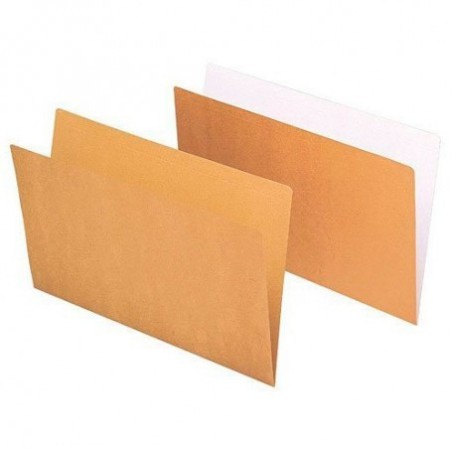 4538-SUBCARPETA SIMPLES KRAFT 240 GRS A4 BICOLOR GIO 400040614