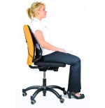 461-RESPALDO LUMBAR MESH PROFESS FELLOWES 8029901