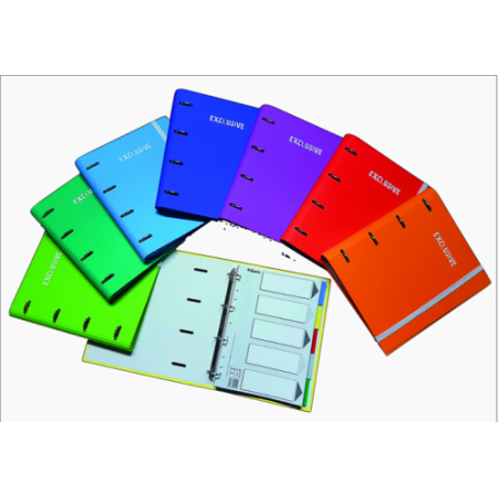 4851-CARPETA SERIE EXCLUSIVE CARPEBLOCK A4 4 ANILLAS MIXTA 35MM + RECAMBIO 120H. 5X5 GRECA 8 COLORES SURTIDOS PACSA 2500