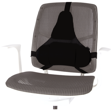 490-Fellowes Professional Series Negro