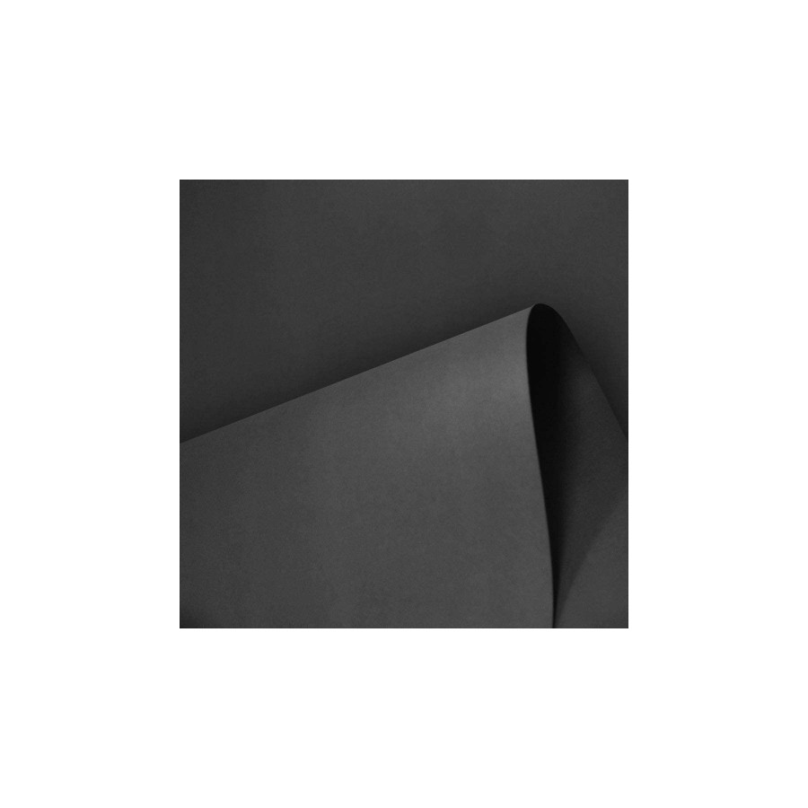 4905-PAQUETE 25 HOJAS CARTULINA IRIS 50X65 185G NEGRO GUARRO CANSON C200040245