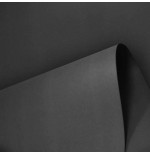 4905-PAQUETE 25 HOJAS CARTULINA IRIS 50X65 185G NEGRO GUARRO CANSON C200040245