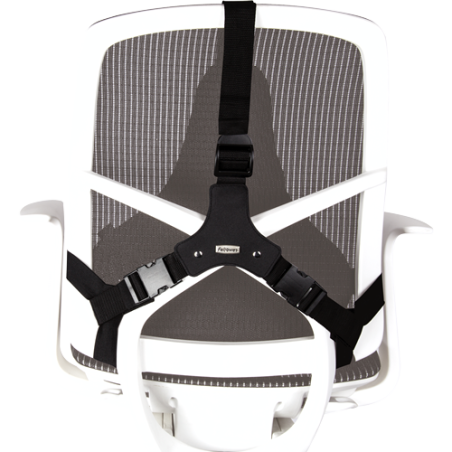 491-Fellowes Professional Series Negro