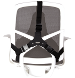 491-Fellowes Professional Series Negro