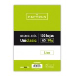 5401-RECAMBIO PAQUETE 100 HOJAS A5 UNICLASIC 90 GR. LISO SIN MARGEN PAYRUS 53390000