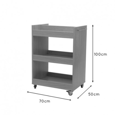 6151-CARRO TRANSPORTADOR HAYA MOBEDUC 602115HP18
