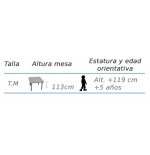 6507-MESA REUNION ALTA O 70 CM HAYA MOBEDUC 500626.7B14M