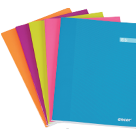 7082-LIBRETA FOLIO CST 48 HOJAS 60G Q4X4 ST ANCOR 061291