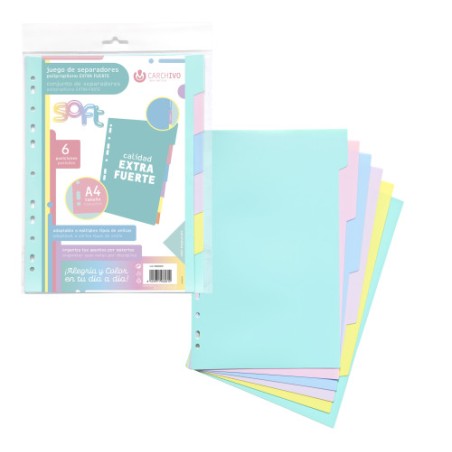 7255-JUEGO SEPARADORES POLIPROPILENO PASTEL EXTRA FUERTE 6 POSICIONES CARCHIVO 49060699