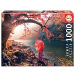 7596-Educa Sunrise In Katsuma River Puzzle rompecabezas 1000 pieza(s)