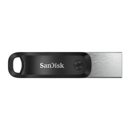 8278-SanDisk SDIX60N-256G-GN6NE unidad flash USB 256 GB 3.2 Gen 1 (3.1 Gen 1) Gris, Plata