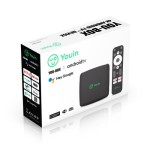 8468-Youin You-Box Negro 4K Ultra HD 8 GB Wifi Ethernet
