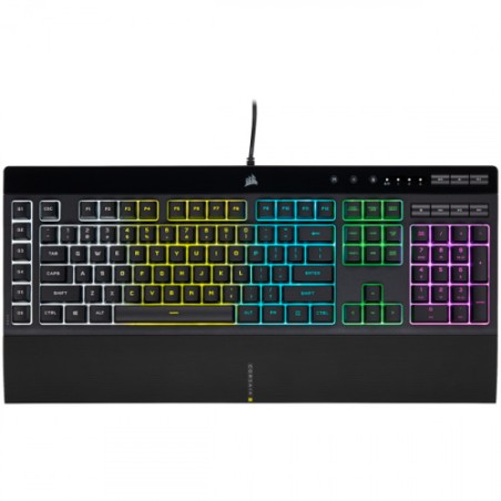 8494-Corsair K55 RGB PRO teclado USB QWERTY Espanol Negro