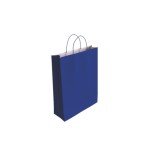 9535-Bismark 329829 bolsa de papel Azul