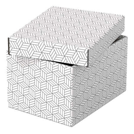 9908-PACK 3 CAJAS BLANCAS 255X200X150MM ESSELTE 628280