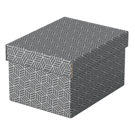 9909-PACK 3 CAJAS GRISES 255X200X150MM ESSELTE 628281