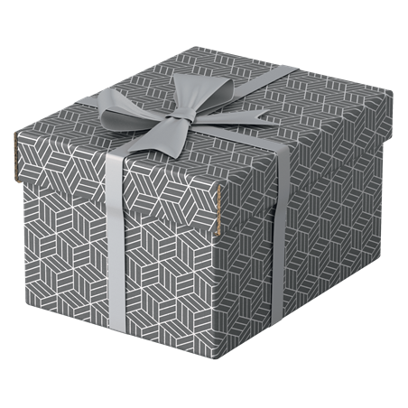 9910-PACK 3 CAJAS GRISES 255X200X150MM ESSELTE 628281