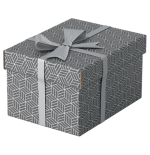 9910-PACK 3 CAJAS GRISES 255X200X150MM ESSELTE 628281