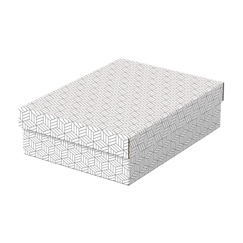 9911-PACK 3 CAJAS BLANCAS 360X265X100MM ESSELTE 628284