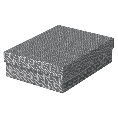 9913-PACK 3 CAJAS GRISES 360X265X100MM ESSELTE 628285