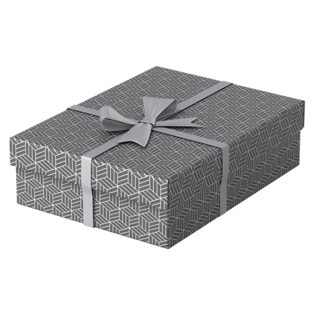 9914-PACK 3 CAJAS GRISES 360X265X100MM ESSELTE 628285