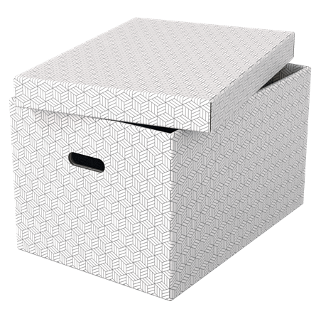 9916-PACK 3 CAJAS BLANCAS 510X355X305MM ESSELTE 628286